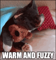 Warm And Fuzzy GIF - Warm And Fuzzy GIFs