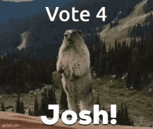 Josh Joshua GIF - Josh Joshua Joshua Fehr GIFs