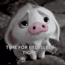 Time For Bed Sleep Tight GIF - Time For Bed Sleep Tight Pua GIFs
