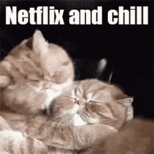 Netflix And Chill Love You GIF - Netflix And Chill Love You Kiss GIFs