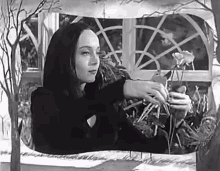 Morticia Addams Cutting Roses GIF - Morticia Addams Cutting Roses Addams Family GIFs