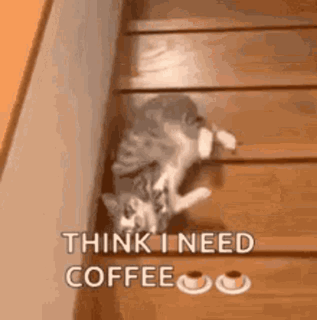 Coffee GIF Coffee Discover Share GIFs