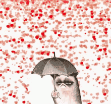 love cat allergy single bitter love cat allergy single bitter