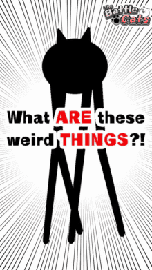 what weird things cat head long legs what are these weird things what weird things cat head long legs what are these weird things