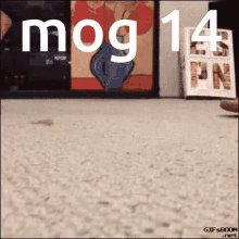 Mog Mog14 GIF - Mog Mog14 Gog GIFs