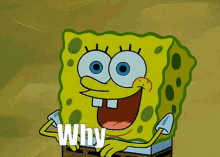 Why Not Spongebob GIF - Why Not Spongebob Why GIFs