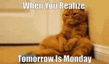 Monday Sad GIF - Monday Sad Tomorrowismonday GIFs