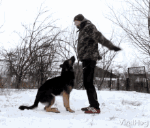 jump rope dog tricks animal tricks best friends jumping