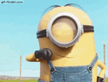 Despicable Me Minions GIF - Despicable Me Minions Approved GIFs