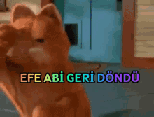 Efe Efe Abi GIF - Efe Efe Abi Geri GIFs