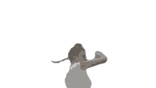 turn back kassi ashton hair flip angry annoyed turn back kassi ashton hair flip angry annoyed