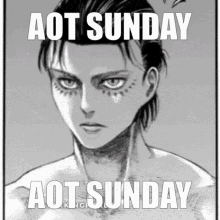 Aot Aot Sunday GIF - Aot Aot Sunday Attack On Titan GIFs