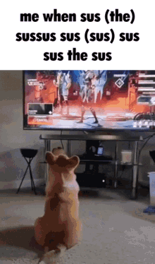 sus the