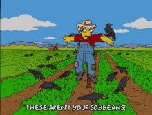 Soybeans Seed GIF - Soybeans Seed Millhouse GIFs