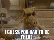 Alf I Guess You Had To Be There GIF - Alf I Guess You Had To Be There You Had To Be There GIFs