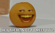 Orange Nice To Meet You GIF - Orange Nice To Meet You Hey There GIFs