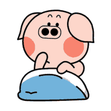 bed sleep goodnight zzz piggy