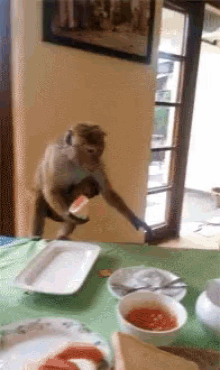 Monkey Running Late GIF - Monkey Running Late Food GIFs