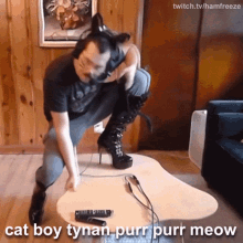 Hamfreeze Cat Boy GIF - Hamfreeze Cat Boy Tynan GIFs
