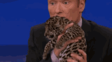 animals tv talk show conan cats