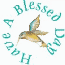 Blessings Have A Blessed Day GIF - Blessings Have A Blessed Day Bird GIFs