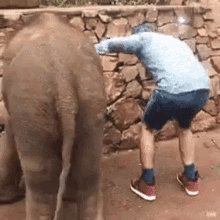 elephant kick