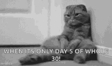 Day5 Tired GIF - Day5 Tired Of GIFs