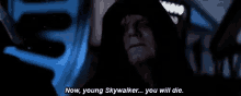 Star Wars You Will Die GIF - Star Wars You Will Die Young Skywalker GIFs