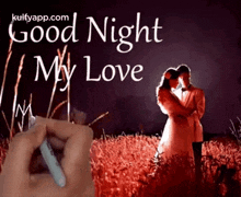 Good Night My Love.Gif GIF - Good Night My Love Sweet Dreams Trending GIFs