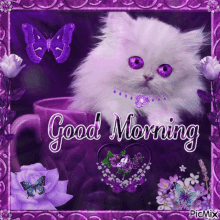 Kitty Good Morning GIF - Kitty Good Morning Purple GIFs