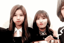 mosa momo