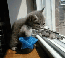 machine-gun-cat.gif