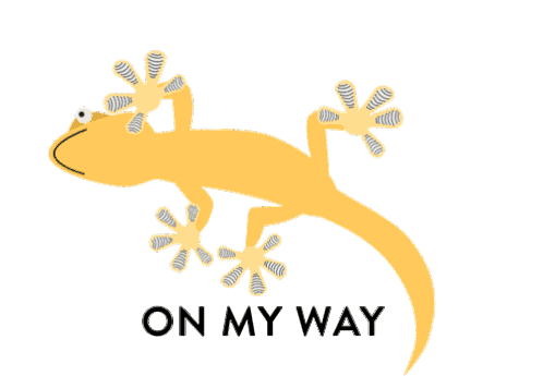 On My Way Coming Sticker - On My Way Coming Gecko Stickers