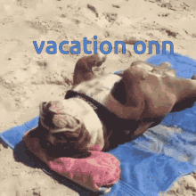 Vacances GIFs | Tenor