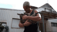 hugging a kangaroo dean schneider carrying kangaroo pet
