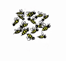 hello bees