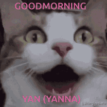 goodmorning yanna
