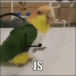 Js Bird GIF - Js Bird Javascript GIFs