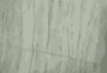 floor tile recorded zoom