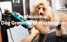 Professional Dog Groomer In Washington GIF - Professional Dog Groomer In Washington GIFs
