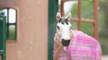 rain horse wet raining soaked rain horse wet raining soaked