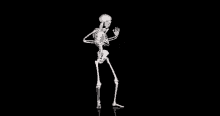 Esqueleto Dançando  / Acordei Com A Autoestima Lá Em Cima GIF - Dancing Skeleton Self Steem GIFs