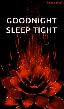Goodnight Sleep Tight GIF - Goodnight Sleep Tight Sparkles GIFs