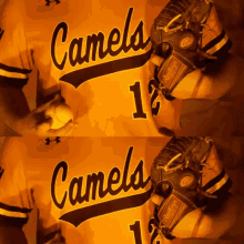 tyson messer campbell baseball roll humps fighting camels campbell university