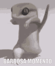 Barbosa Barbosamomento GIF - Barbosa Barbosamomento Momento GIFs