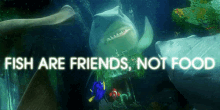 Friends Not Food GIF - Finding Nemo Fish Friends Not Food GIFs