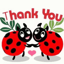 Thank You Ladybug GIF - Thank You Ladybug Animated GIFs