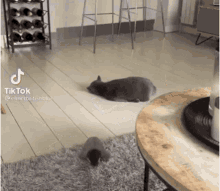 Sleeping Stretching GIF - Sleeping Stretching Cat GIFs