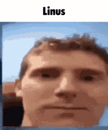 Linus GIF - Linus GIFs