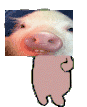 Pig Piggy Sticker - Pig Piggy Oink Stickers